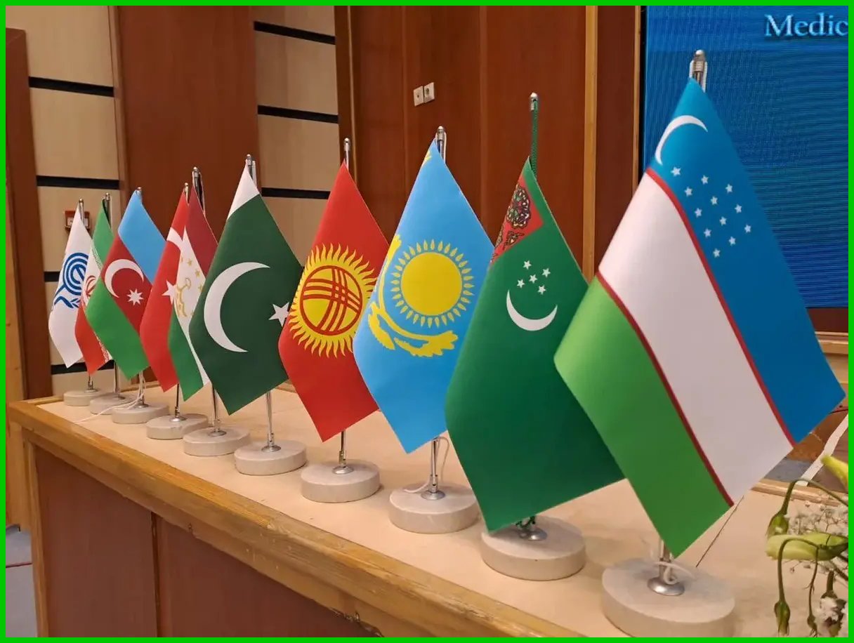 وزیر صمت در اجلاس وزیران اکو برای گسترش همکاری‌های اقتصادی شرکت کرد