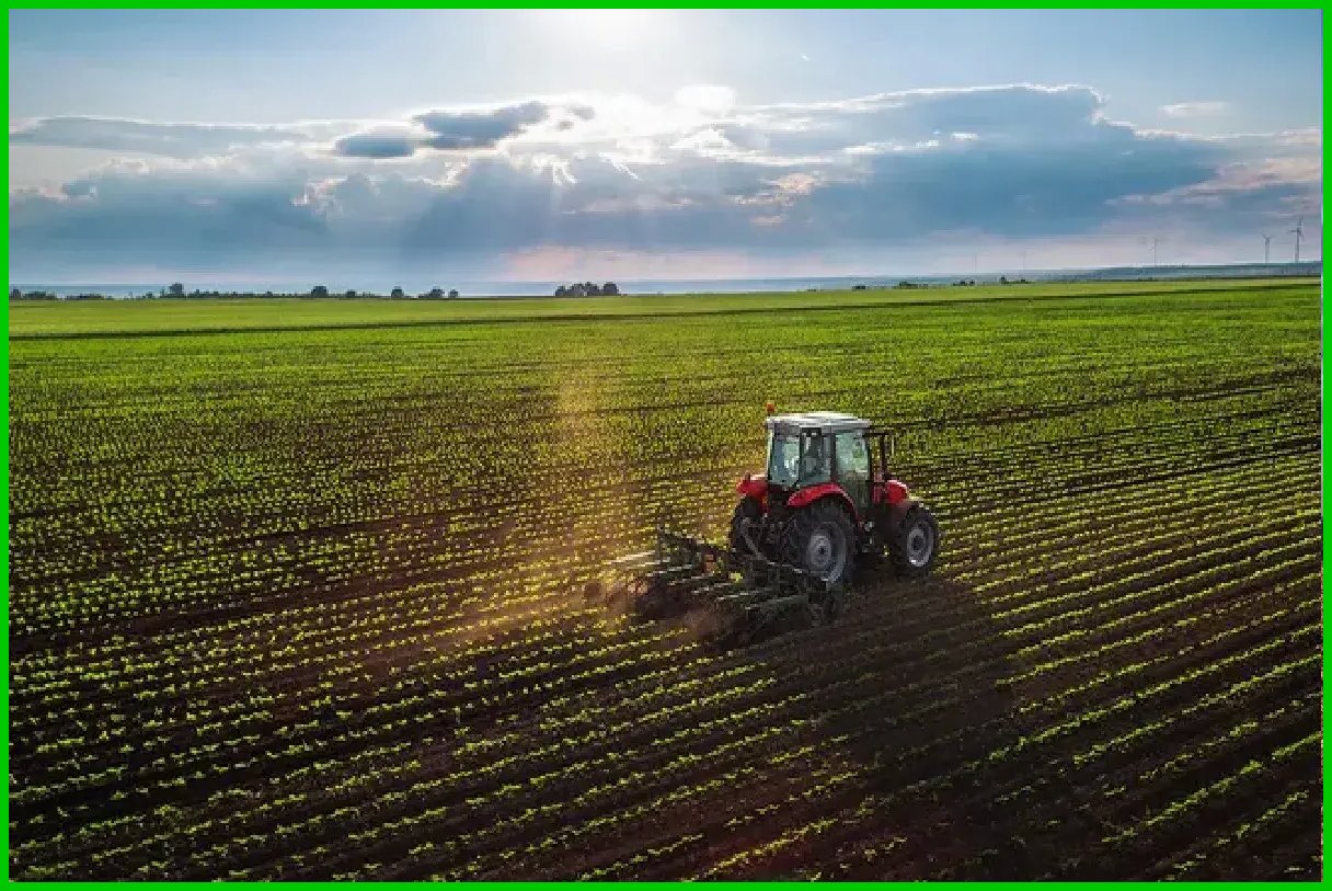 افزایش ۲۰ درصدی تجارت محصولات کشاورزی میان ایران و روسیه